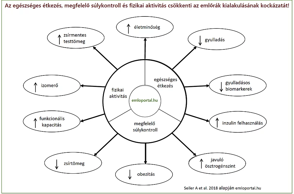 Az egészséges étkezés, megfelelő súlykontroll és fizikai aktivitás csökkenti az emlőrák kialakulásának kockázatát! zsírmentes testtömeg gyulladásos biomarkerek obezitás elhízás diéta zsírtömeg mozgás sportolás fizikai aktivitás inzulin felhasználás ösztrogénszint