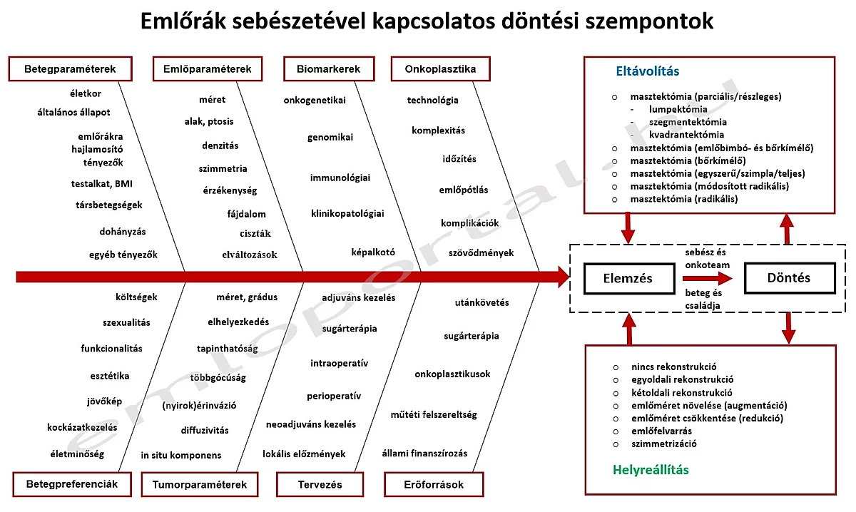 onkoplasztika, emlőmegtartó műtét, masztektómia, rekonstrukció, emlőpótlás, melldaganat, kimetszés, operáció elemzés, döntés, döntéselőkészítés, emlőrák sebészete