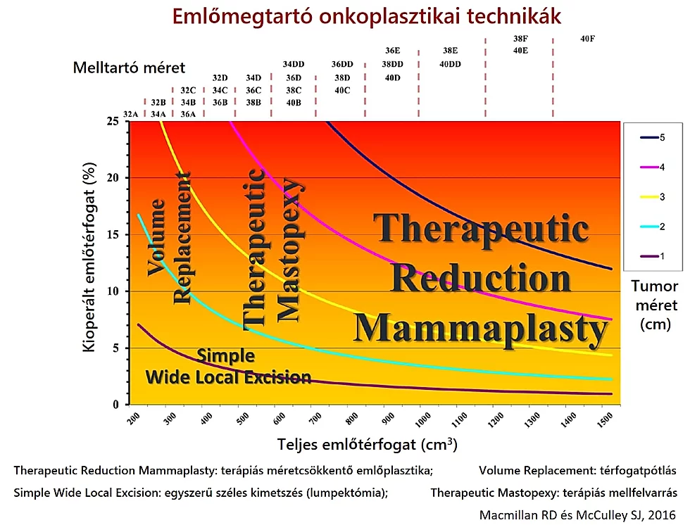 Masztektómia vagy emlőmegtartás: döntéshozatali görbék, Emlőmegtartó onkoplasztikai technikák, Therapeutic Reduction Mammaplasty: terápiás méretcsökkentő emlőplasztika; Volume Replacement: térfogatpótlás, Simple Wide Local Excision: egyszerű széles kimetszés (lumpektómia); Therapeutic Mastopexy: terápiás mellfelvarrás 