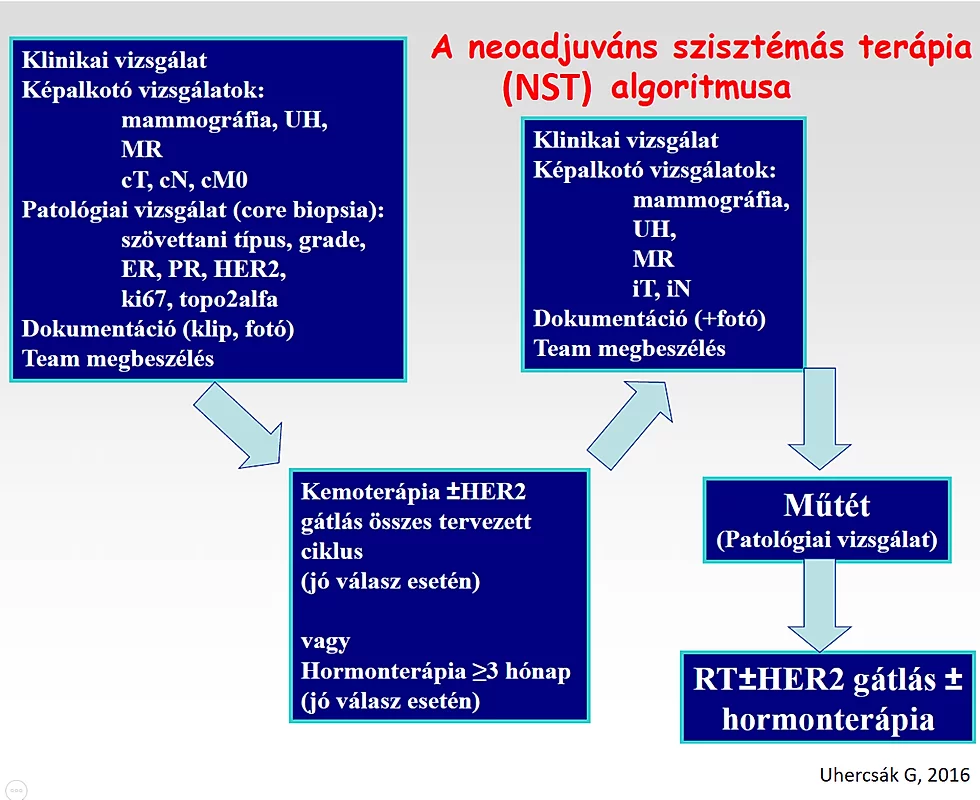 mellrák, emlőrák, melldaganat, kemoterápia, hormonterápia, HER2, hormonreceptor-gátlás, műtét, neoadjuváns terápia, szisztémás kezelés, gyógyszerterápia algoritmusa